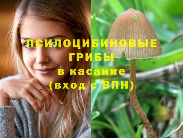 гидропоника Ессентукская