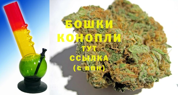 гашик Новокубанск
